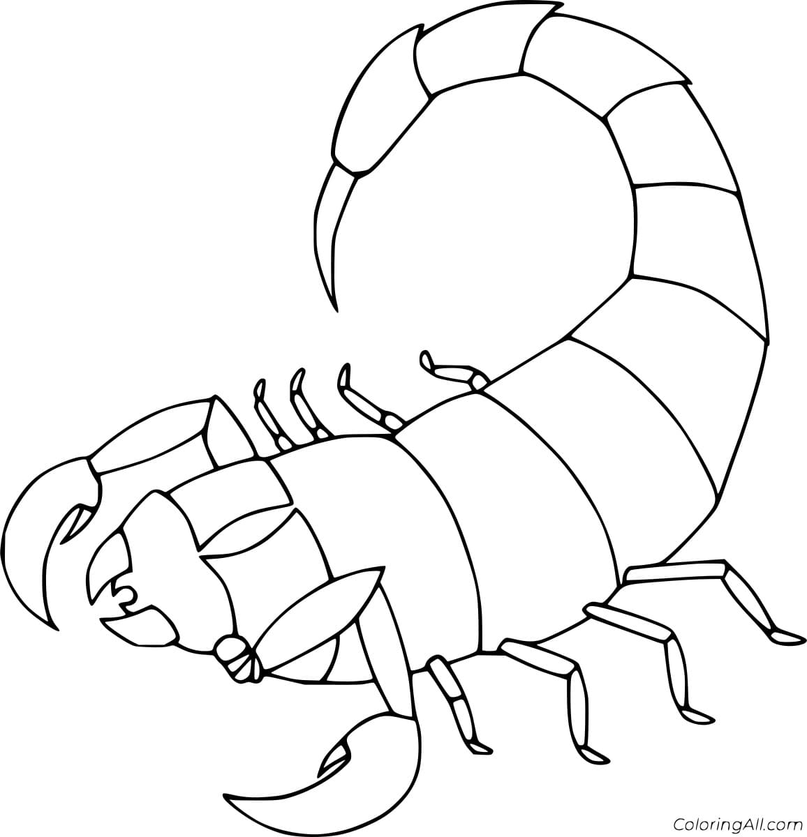 Fat Scorpion Free Printable Coloring Page