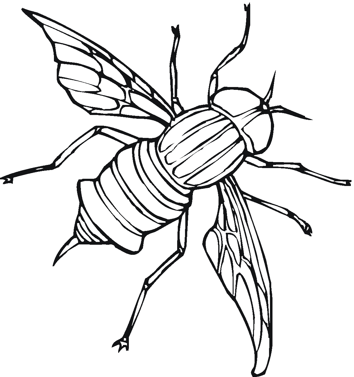 Flies Image Cute Coloring Page