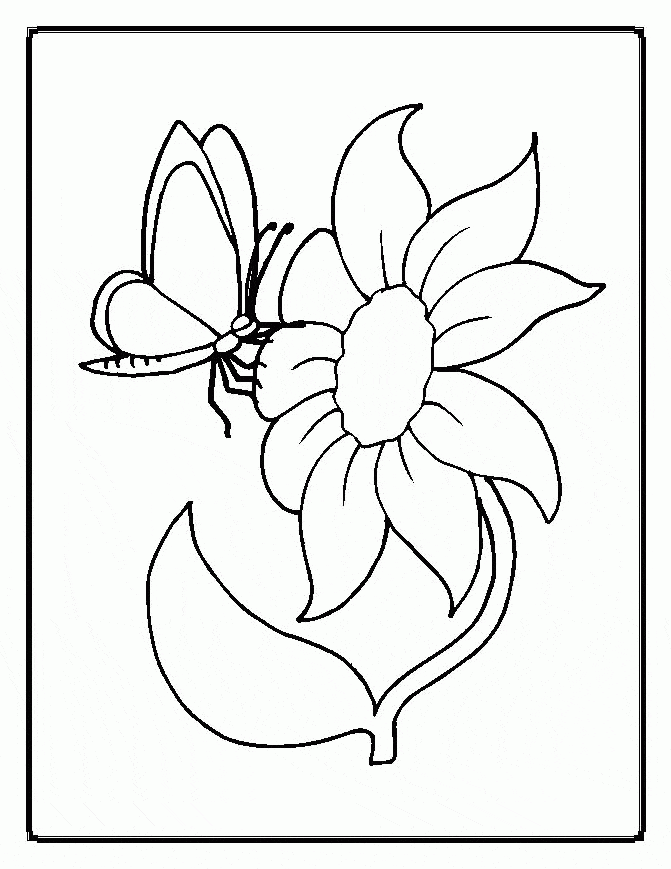 Flower And Bee Image Coloring Page