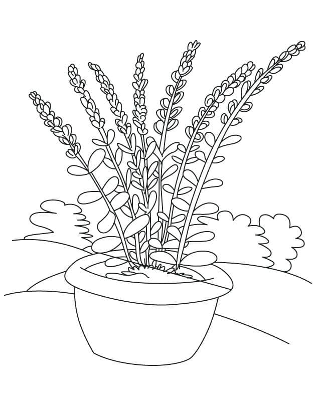 Flower Pot Printable For Kids Coloring Page