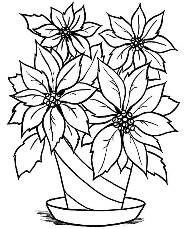 Flower Vase Cool Coloring Page