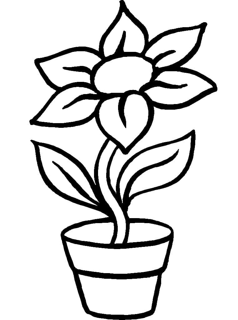Flower in Pot Picture Coloring Page