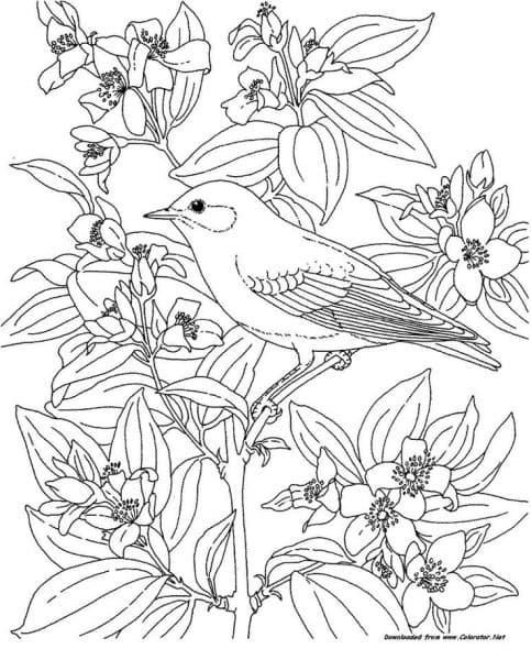 Flowers Lilac Grand Coloring Page