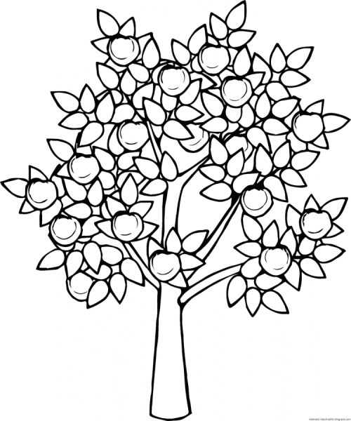 Flowers Lilac Image Coloring Page