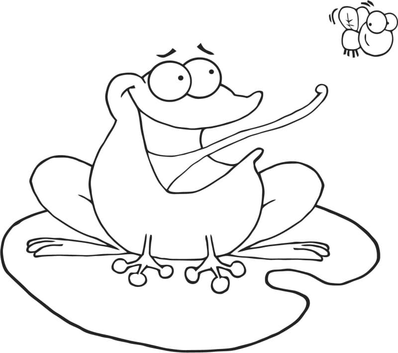 Fly And Frog Image Coloring Page