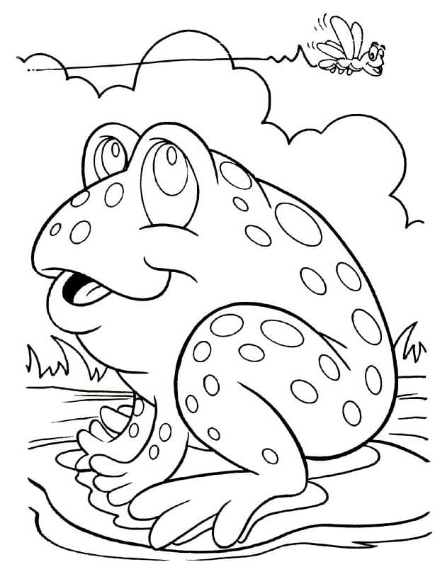 Fly Animal Coloring Page