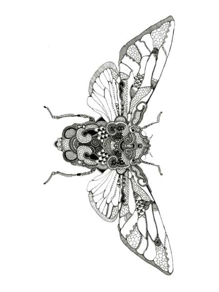 Fly Contour Coloring Page
