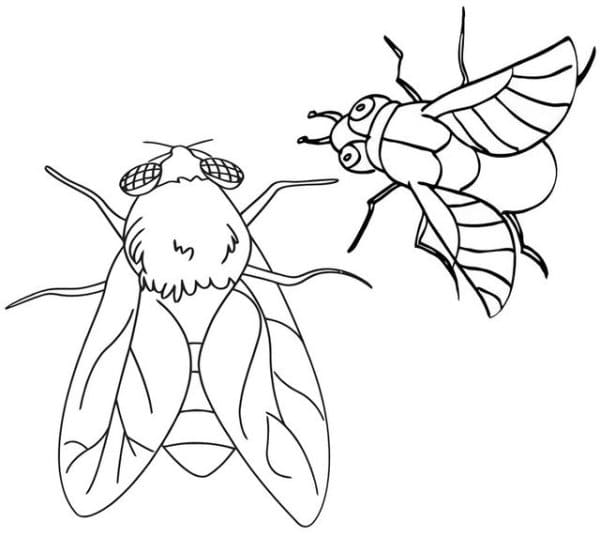 Fly Drawings Coloring Page