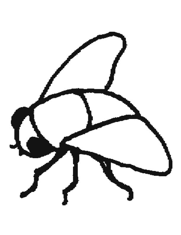 Fly Drawning For Kids Coloring Page