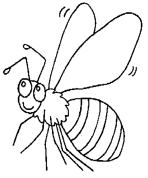 Fly Image For Children