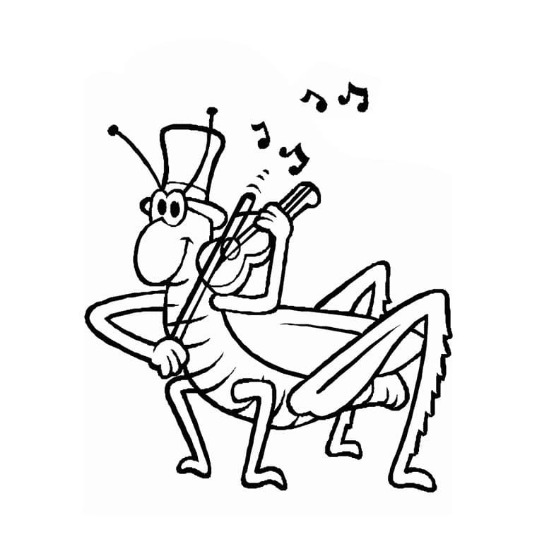 Flying Cicada Music