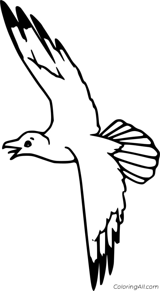 Flying Easy Seagull Coloring Page