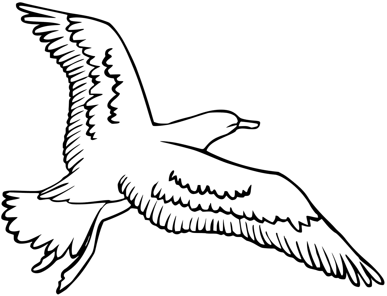 Flying Seagull Lovely Picture Coloring Page