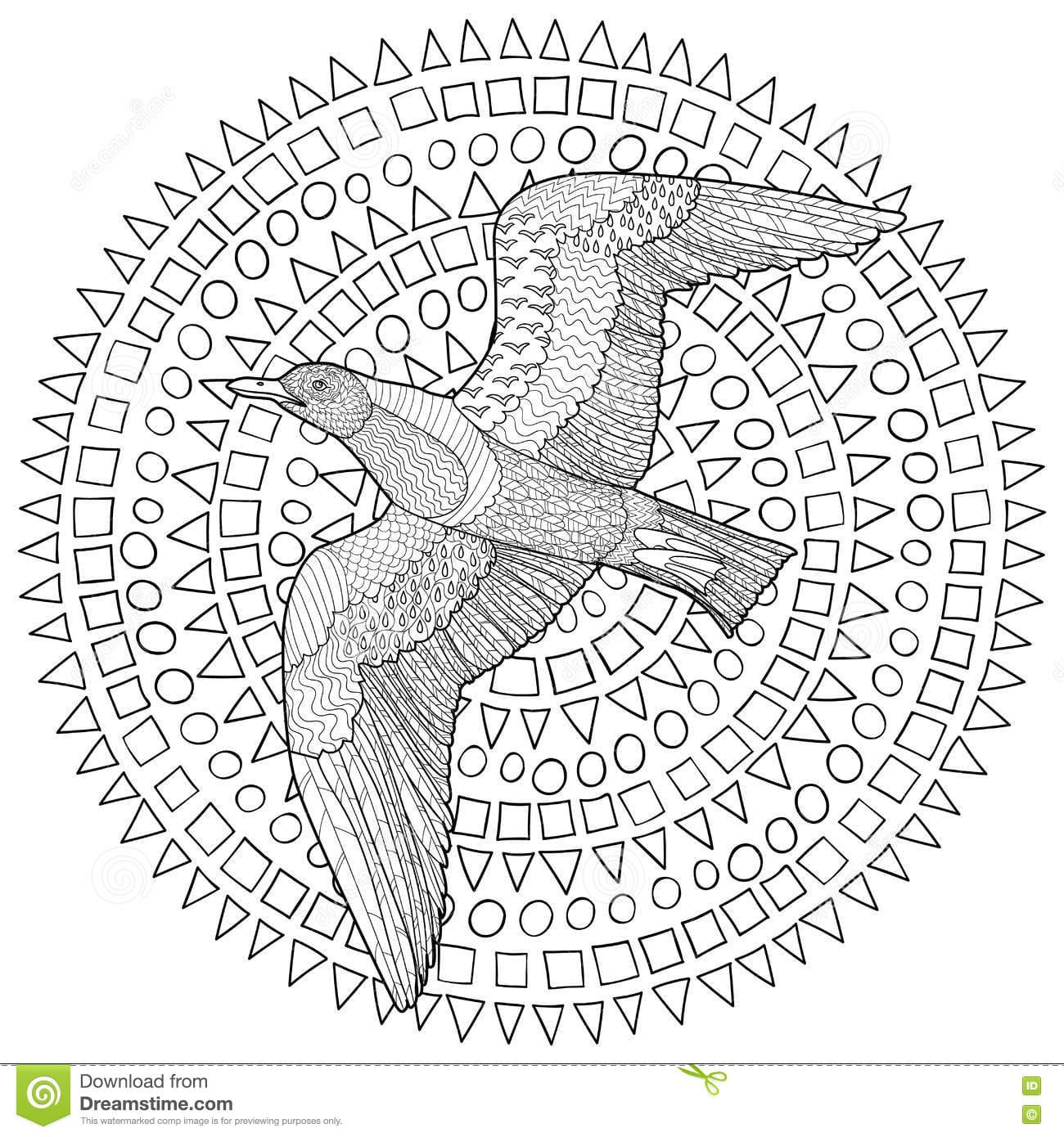 Flying Seagull With High Details Picture Coloring Page