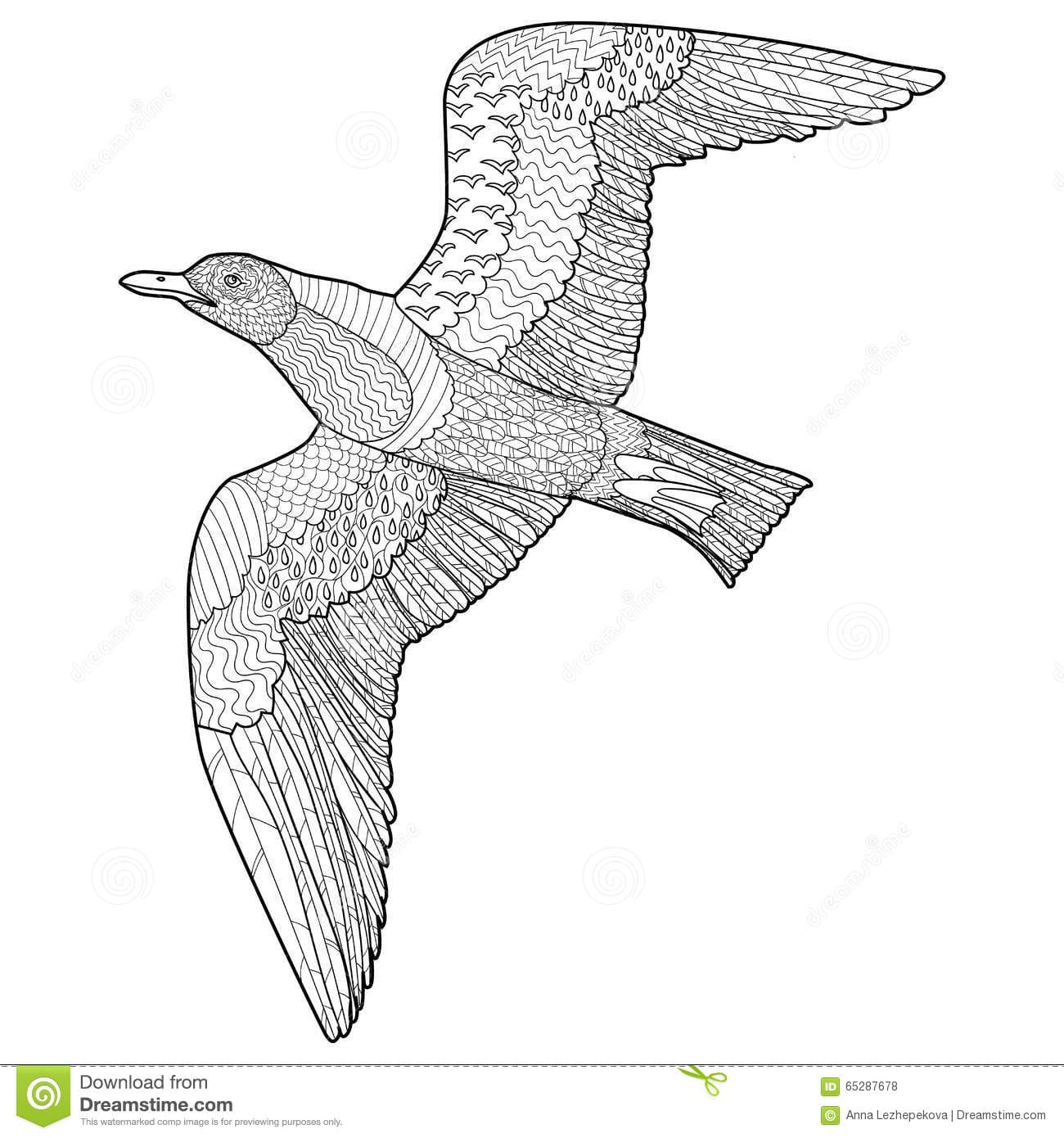 Flying Seagull With High Details Coloring Page