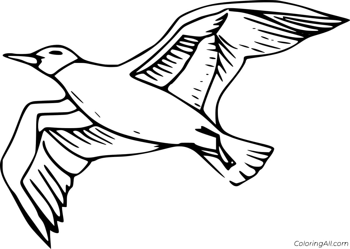 Flying Simple Seagull Coloring Page