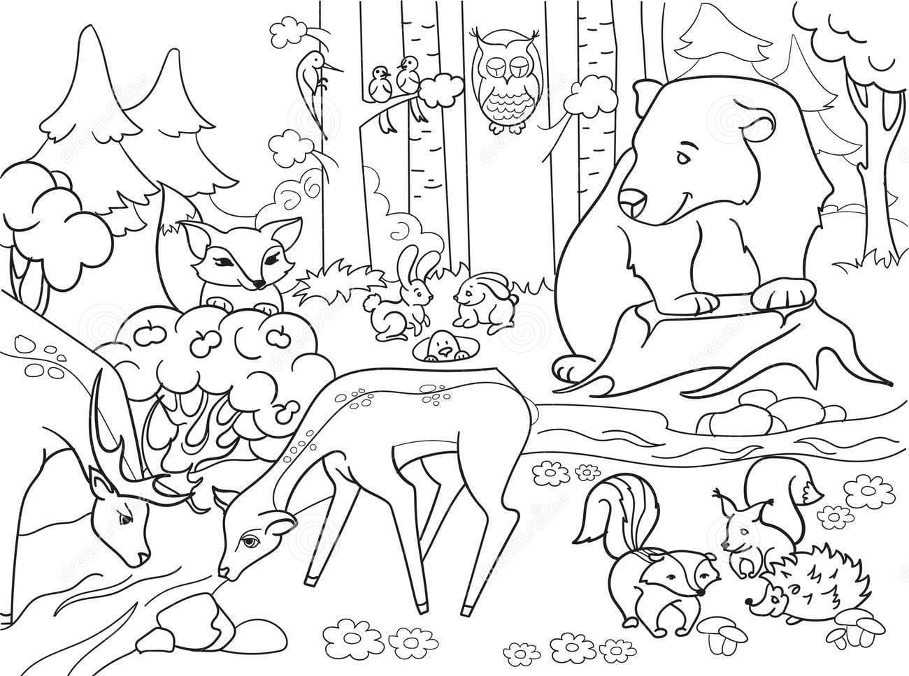 Forest Landscape With Animals Coloring Page