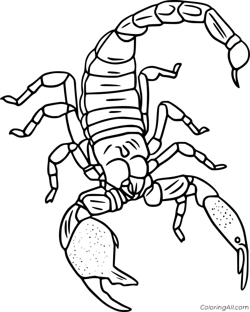 Forest Scorpion Free Printable Coloring Page