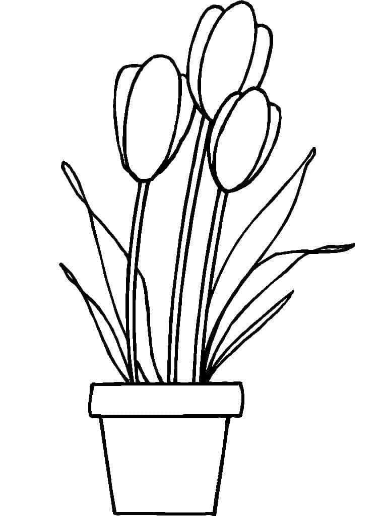 Free Flower Pot Image Coloring Page