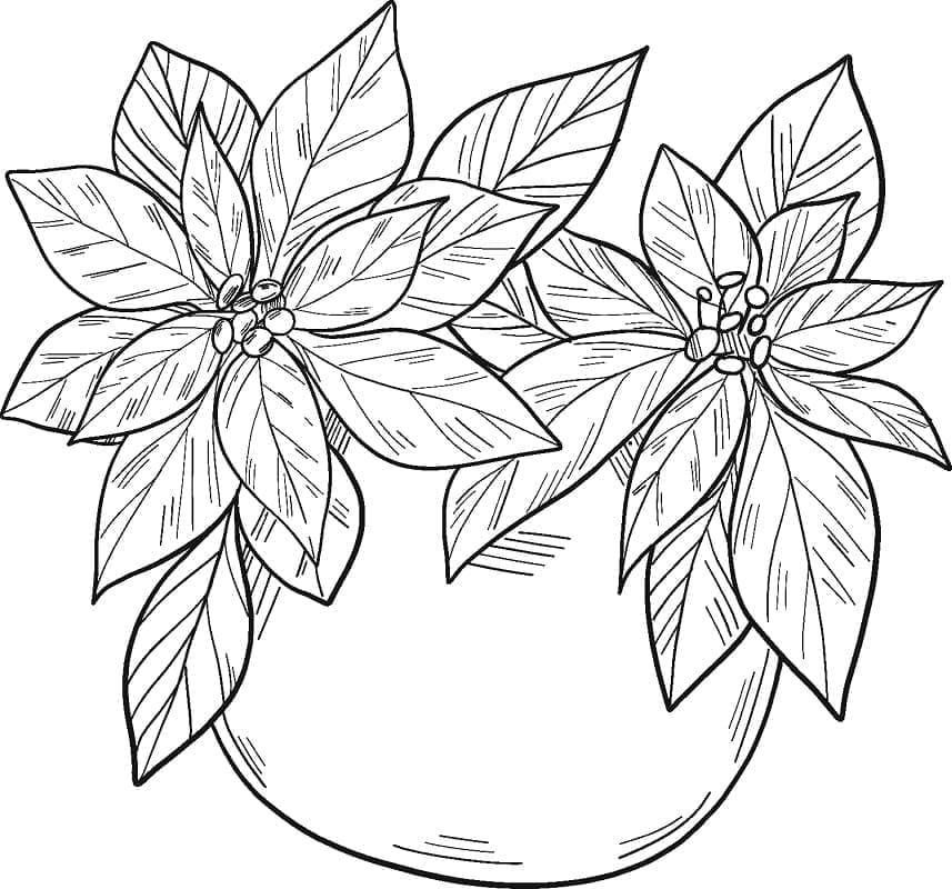 Free Poinsettia in a Pot Coloring Page