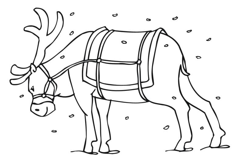Free Printable Reindeer