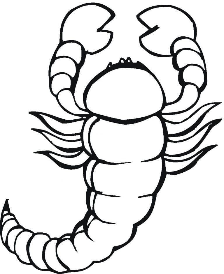 Free Printable Scorpion Coloring