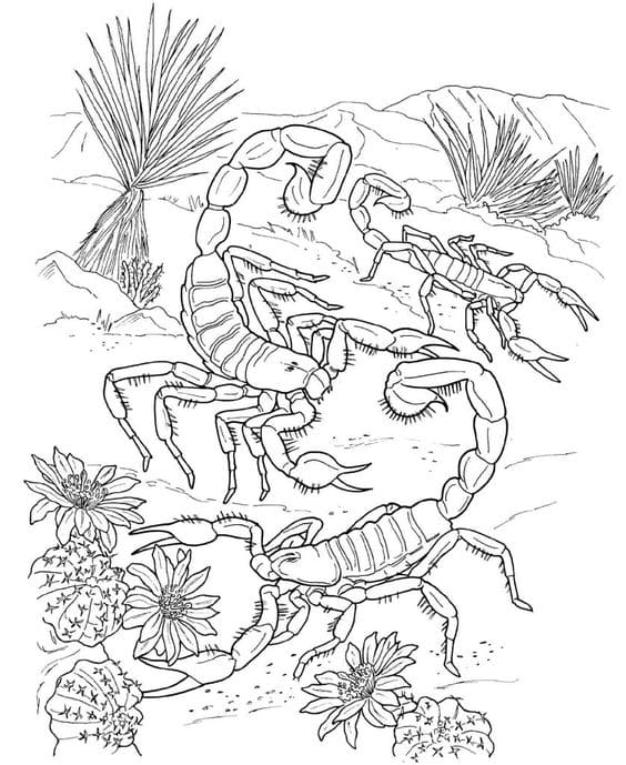 Free Printable Scorpion For Kids Coloring Page