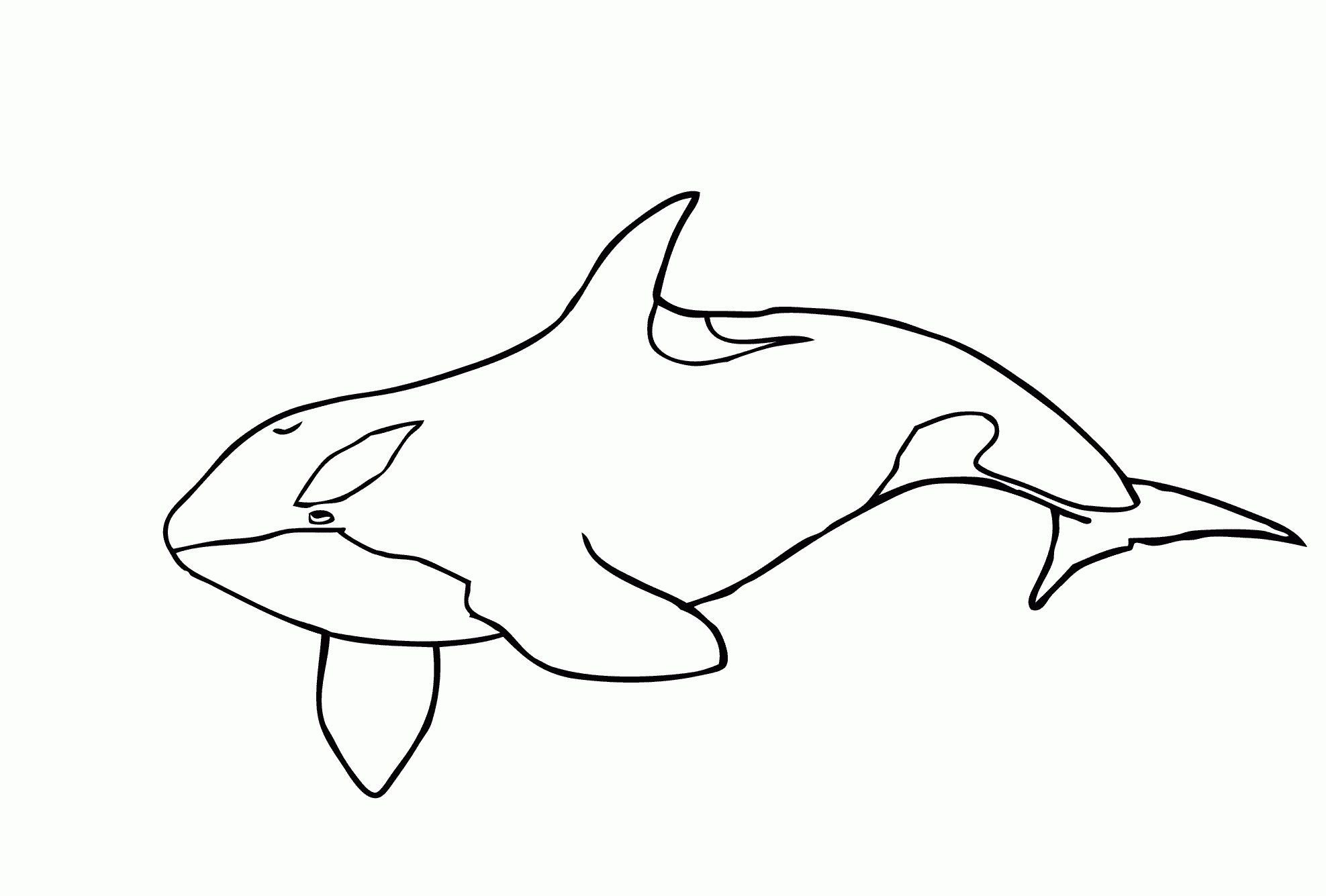 Free Printable Whale Coloring For Kids
