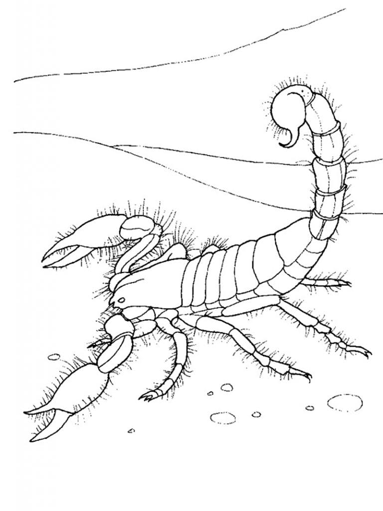 Free-Scorpion To Print Coloring Page