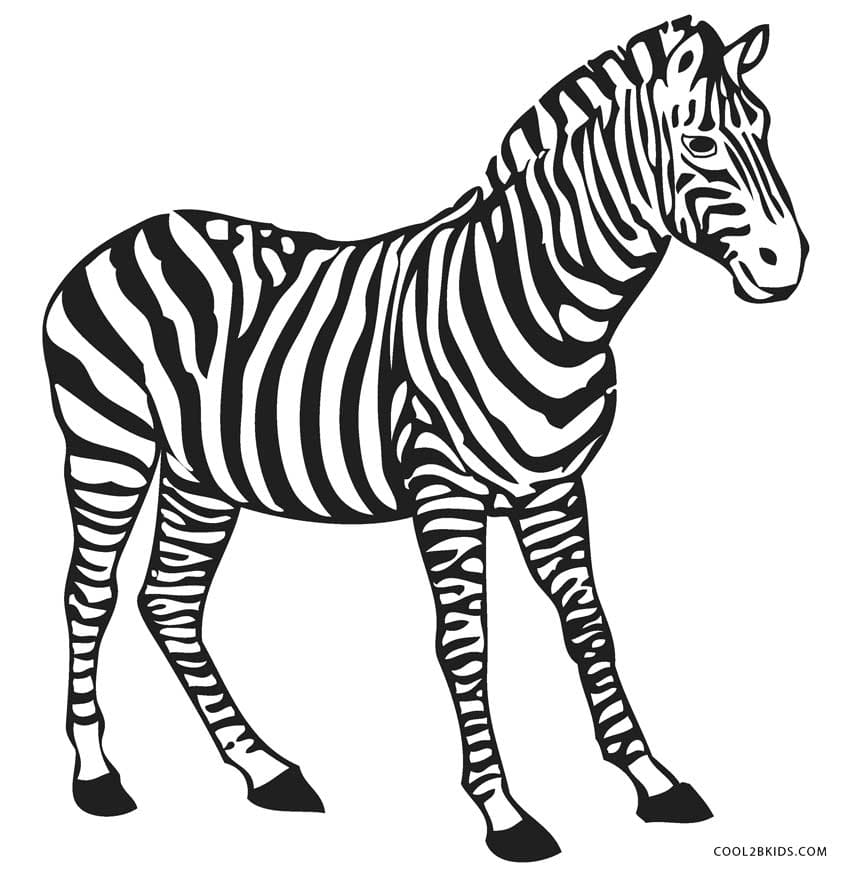 Free Zebra Printable Image