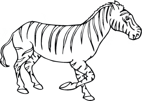 Free Zebra Printable Coloring Page