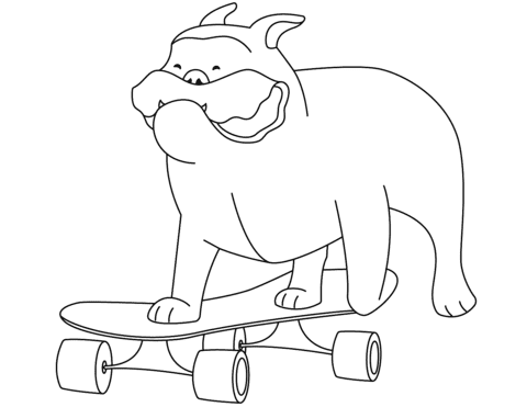 Funny Bulldog On Skateboard