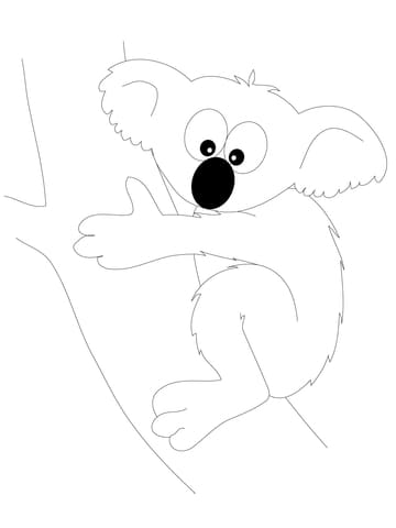 Funny Koala Bear Free Printable Coloring Page