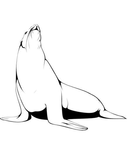 Fur Seal Image Coloring Page