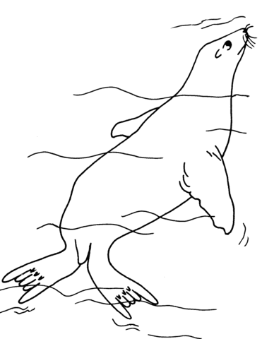 Fur Seal Underwater Image Coloring Page