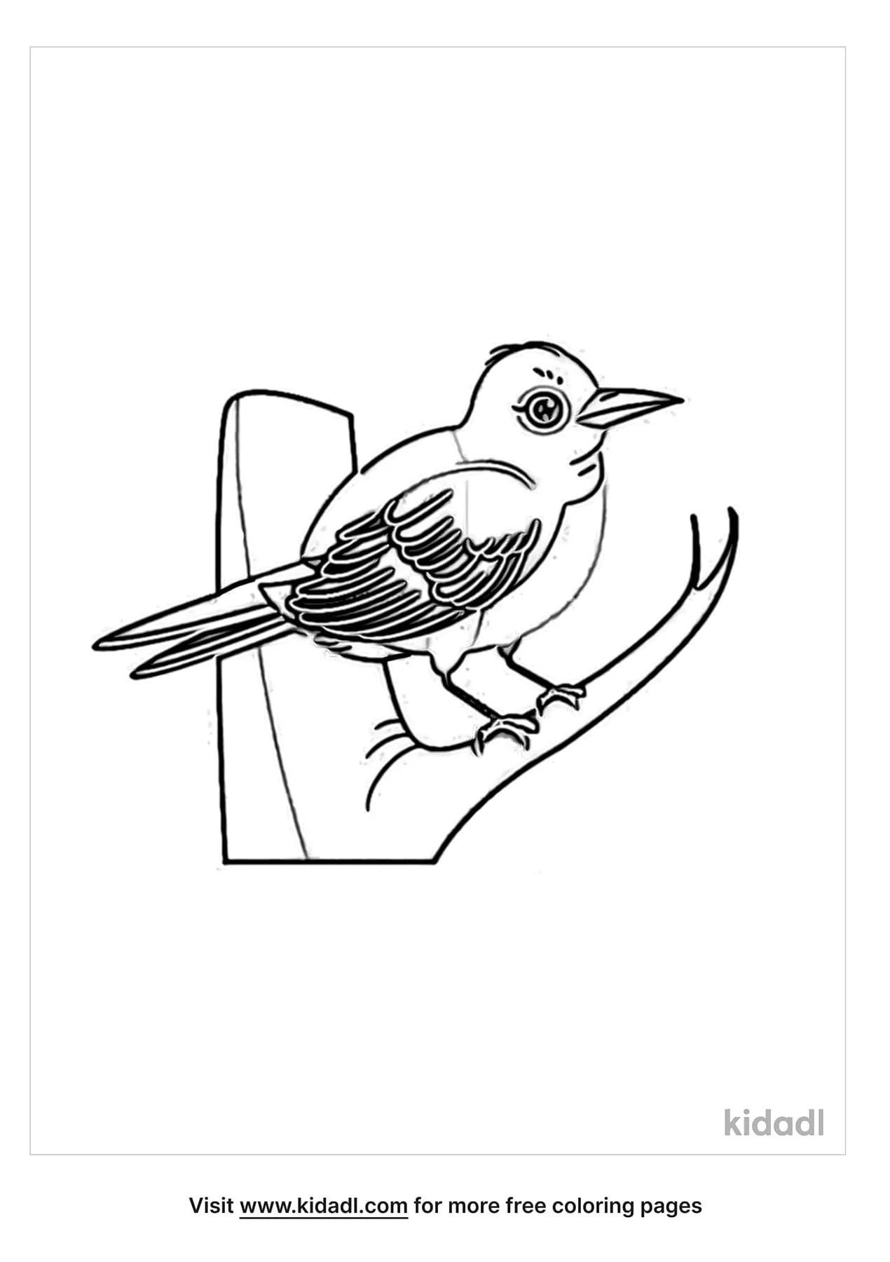 Gallery Mockingbird For Kids Coloring Page