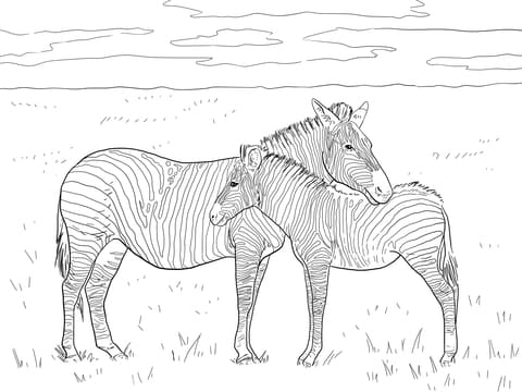 Grant’s Plain Zebras Printable Coloring Page