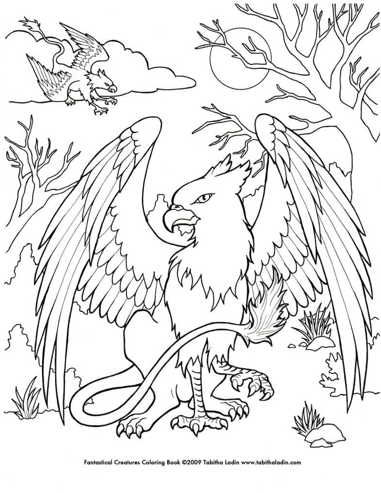 Griffin Drawning