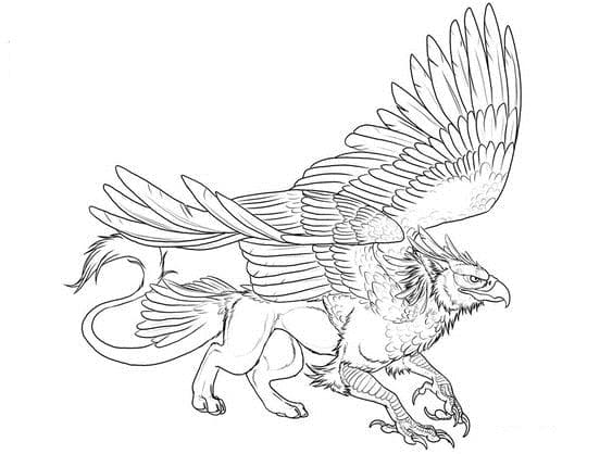 Griffin Image Cute For Children