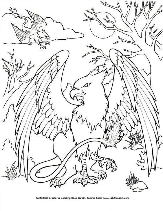 Griffin Lovely For Kids Coloring Page