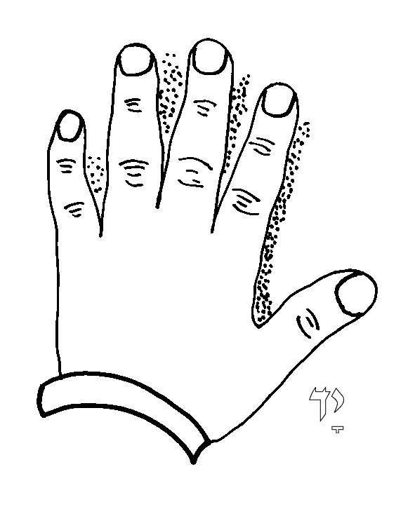 Hand Coloring Page