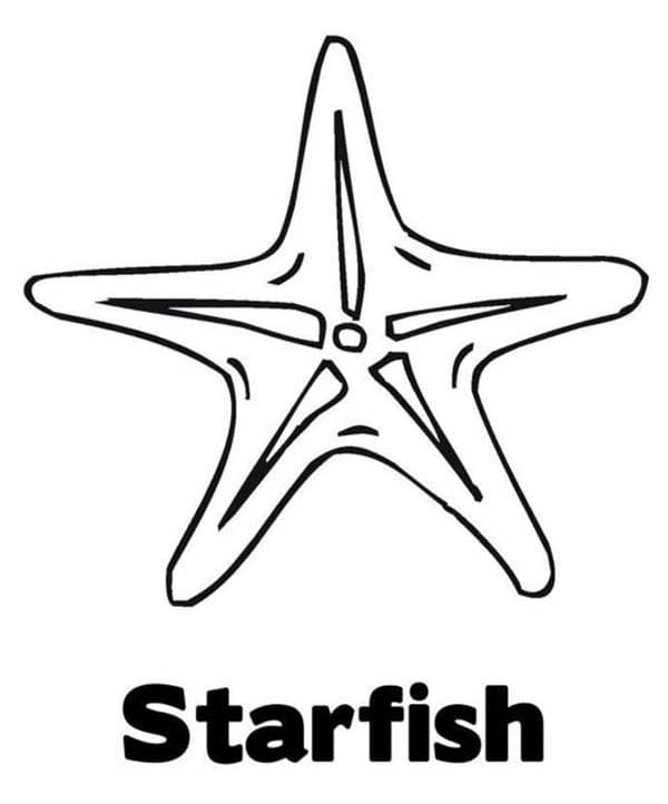 Healthy Starfish Coloring Image Coloring Page