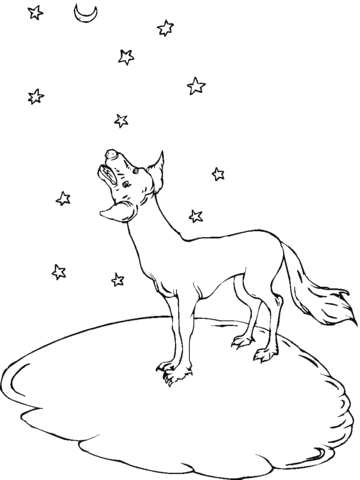 Howl At The Moon Coyote Image