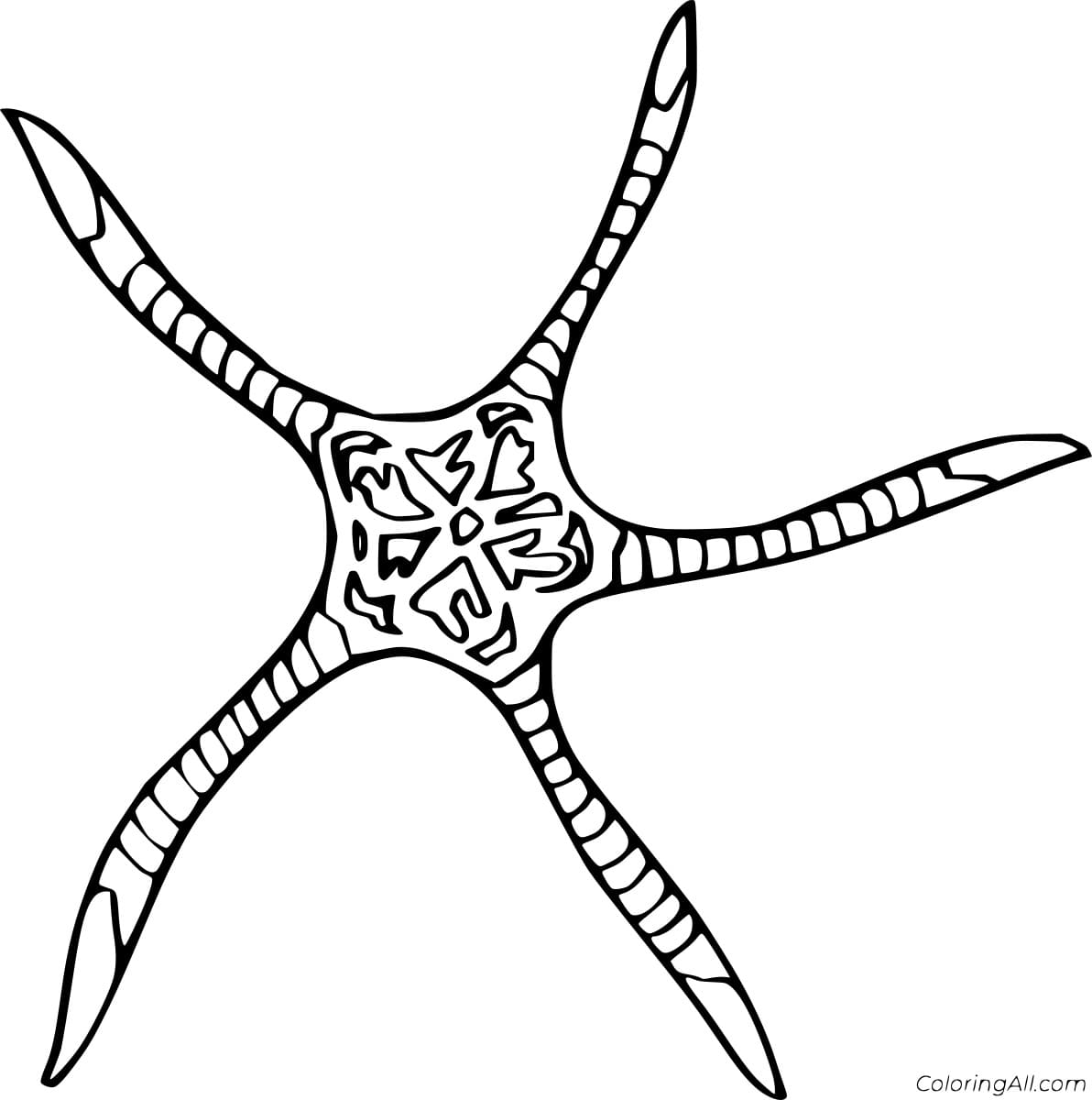 Icon Starfish Image Coloring Page
