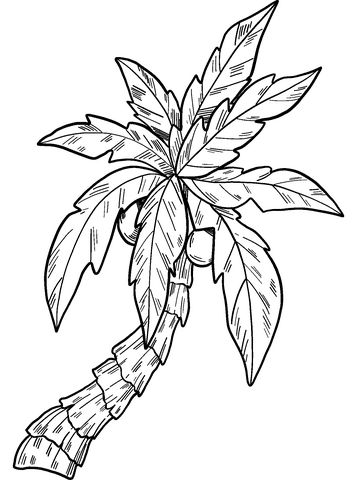 Image Palm Tree For Children Coloring Page