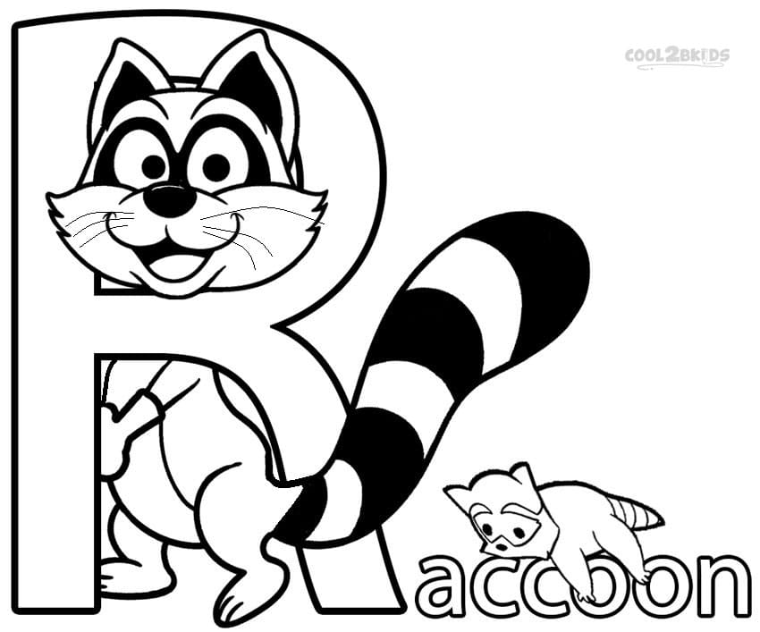 Image Raccoon For Children Coloring Page