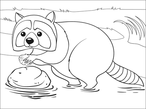 Image Raccoon Coloring Page