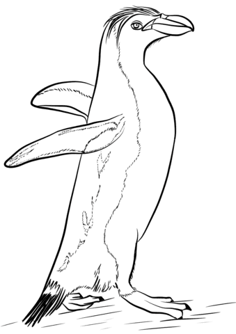 Image Royal Penguin Coloring Page