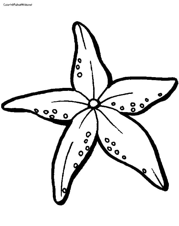 Image Starfish Coloring Page