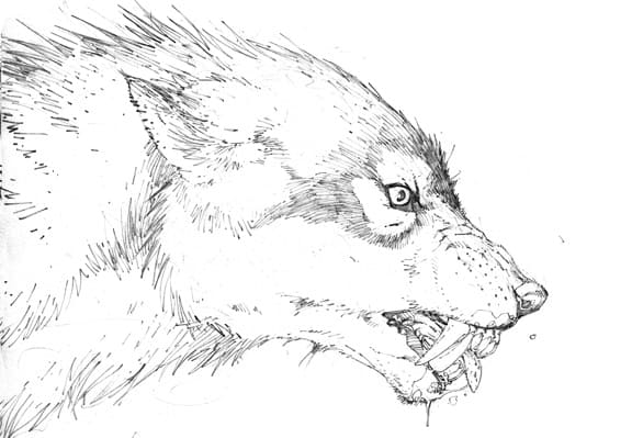 Image Werewolf Sweet Free Coloring Page